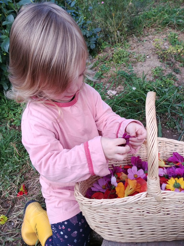 Sommerliche Kräutertour - aus dem Vollen schöpfen