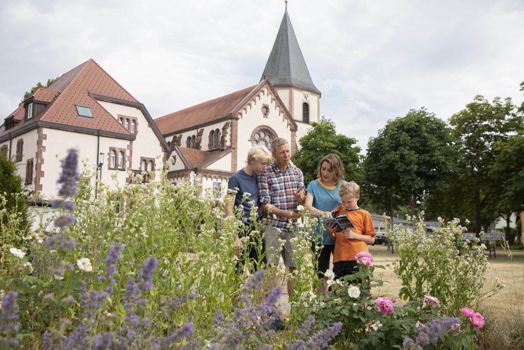 Alpirsbacher Tourentipp: Naturpark-AugenBlick-Runde Oberachern Bienenbuckel