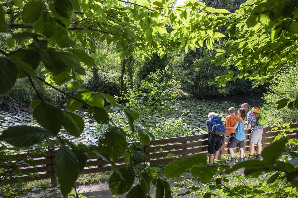 Alpirsbacher Tourentipp: Naturpark-AugenBlick-Runde Oberachern Bienenbuckel