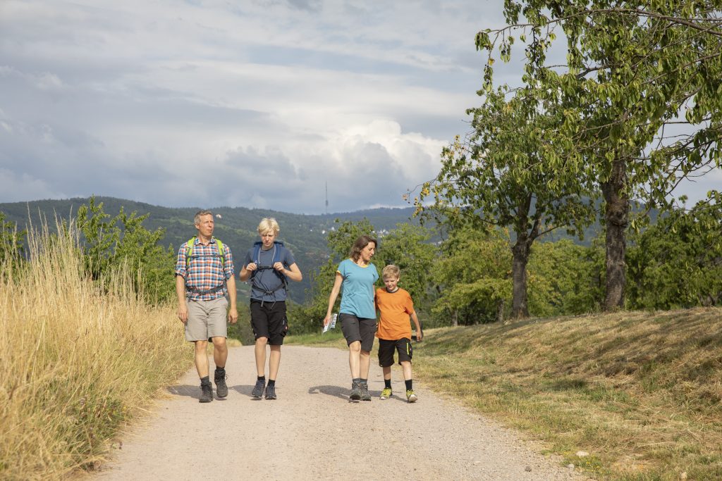Alpirsbacher Tourentipp: Naturpark-AugenBlick-Runde Oberachern Bienenbuckel