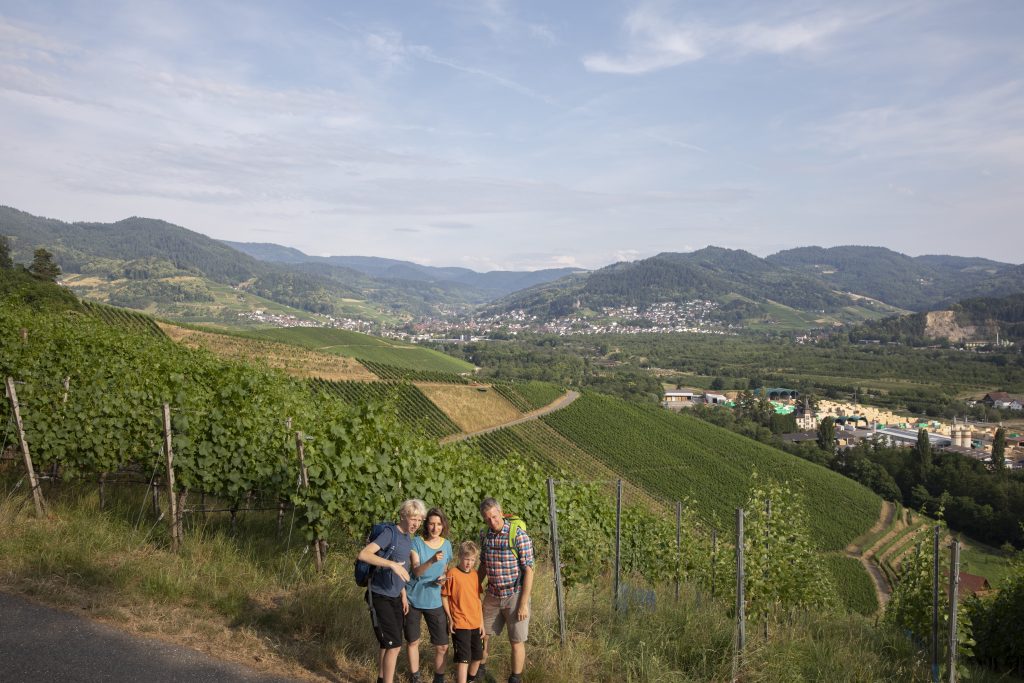 Alpirsbacher Tourentipp: Naturpark-AugenBlick-Runde Oberachern Bienenbuckel