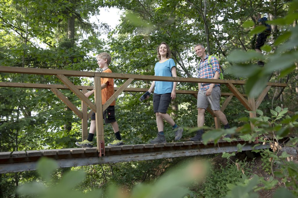Alpirsbacher Tourentipp: Naturpark-AugenBlick-Runde Oberachern Bienenbuckel