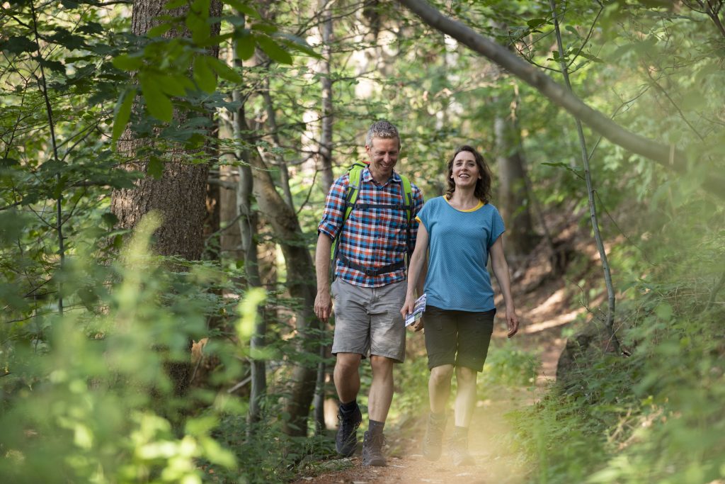 Alpirsbacher Tourentipp: Naturpark-AugenBlick-Runde Oberachern Bienenbuckel