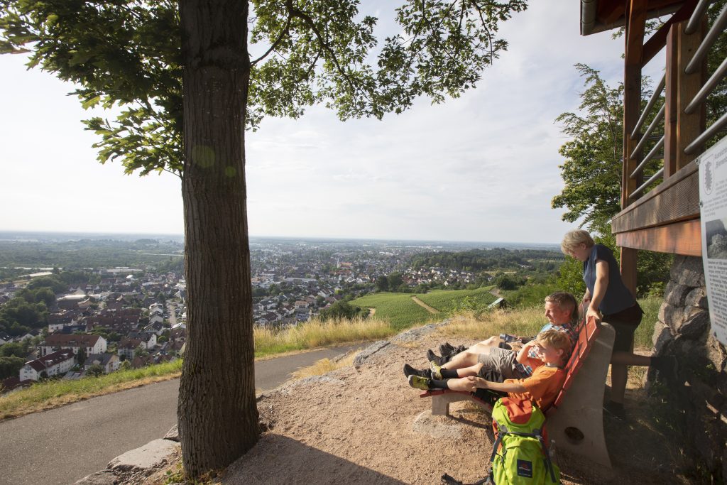 Alpirsbacher Tourentipp: Naturpark-AugenBlick-Runde Oberachern Bienenbuckel