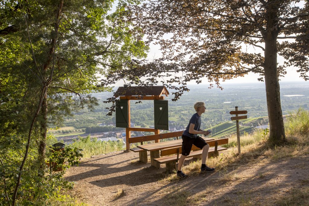 Alpirsbacher Tourentipp: Naturpark-AugenBlick-Runde Oberachern Bienenbuckel