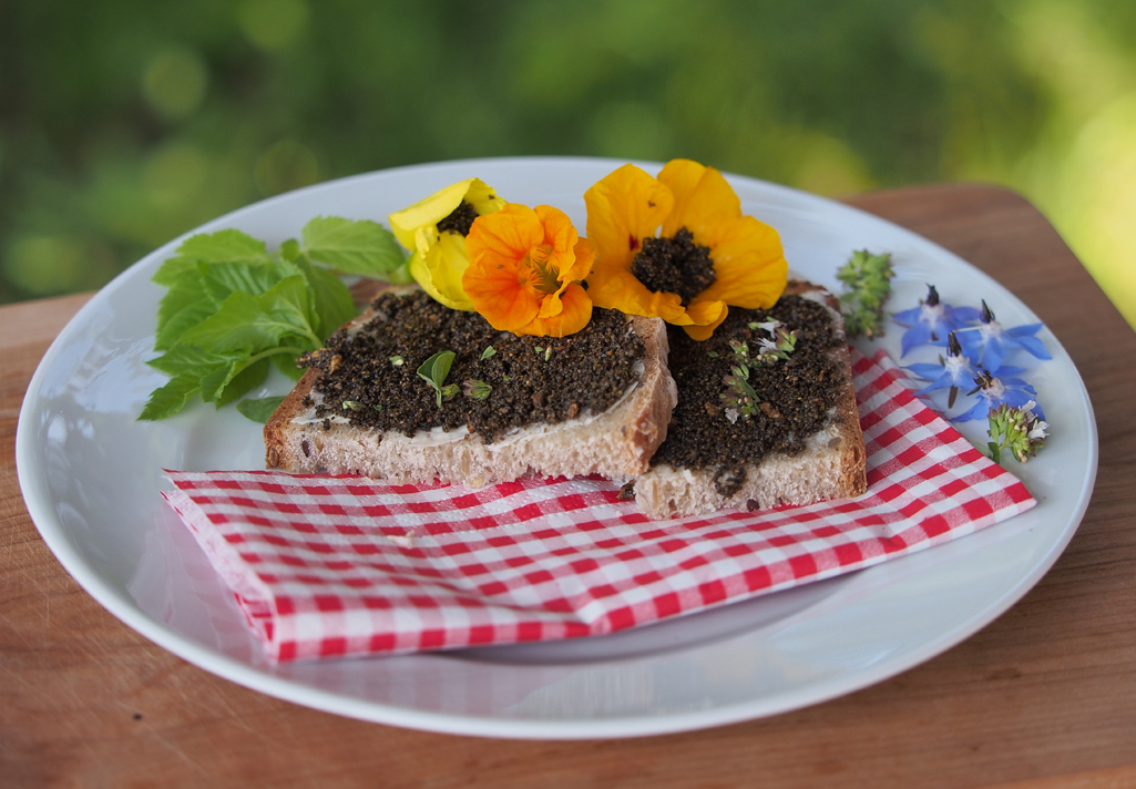 Sommerliche Kräutertour - aus dem Vollen schöpfen