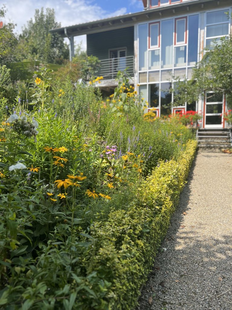 Hochsommer im Schwarzwald-Guide-Garten