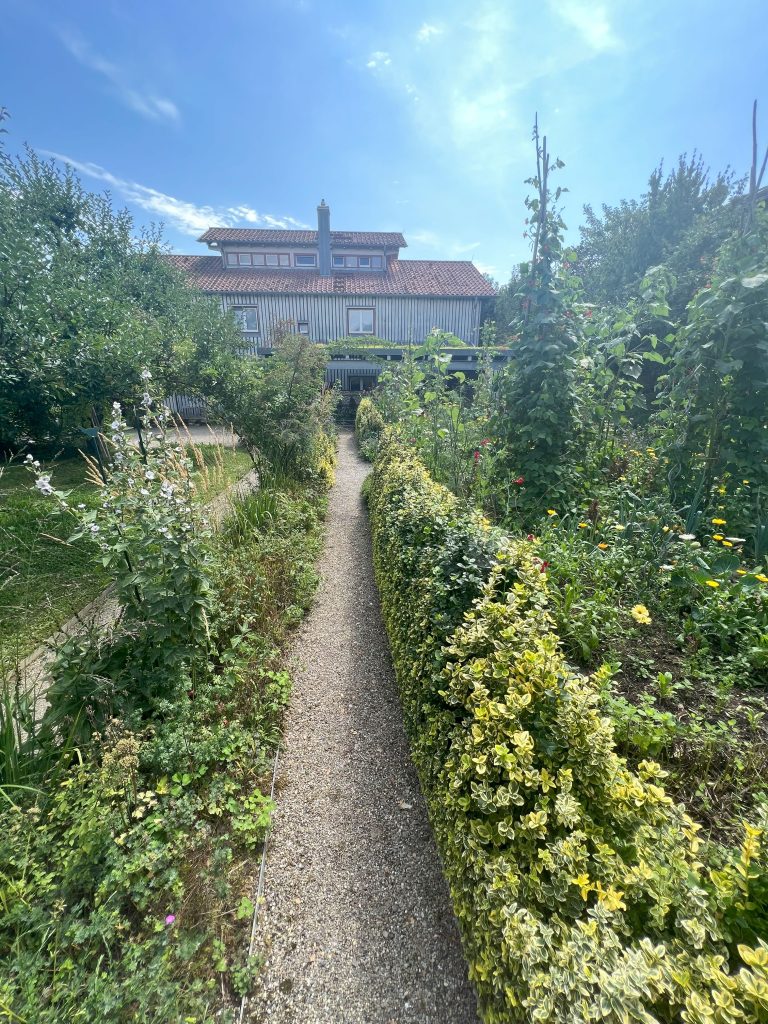 Hochsommer im Schwarzwald-Guide-Garten