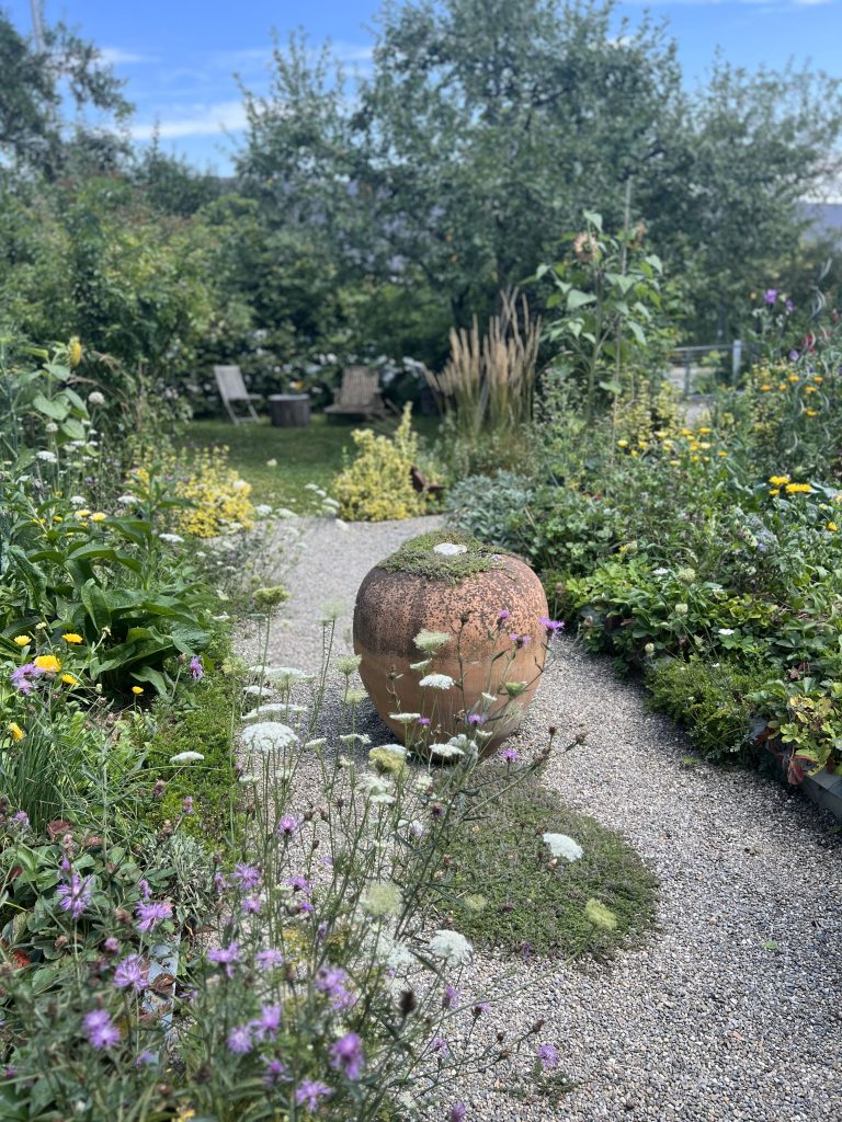 Hochsommer im Schwarzwald-Guide-Garten
