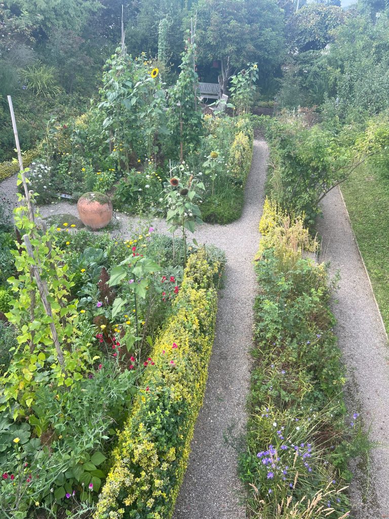 Hochsommer im Schwarzwald-Guide-Garten
