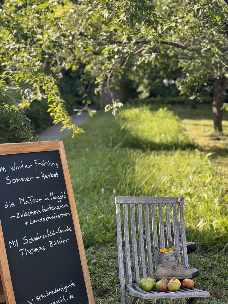 Hochsommer im Schwarzwald-Guide-Garten