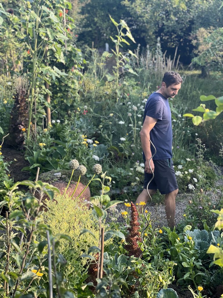 Hochsommer im Schwarzwald-Guide-Garten