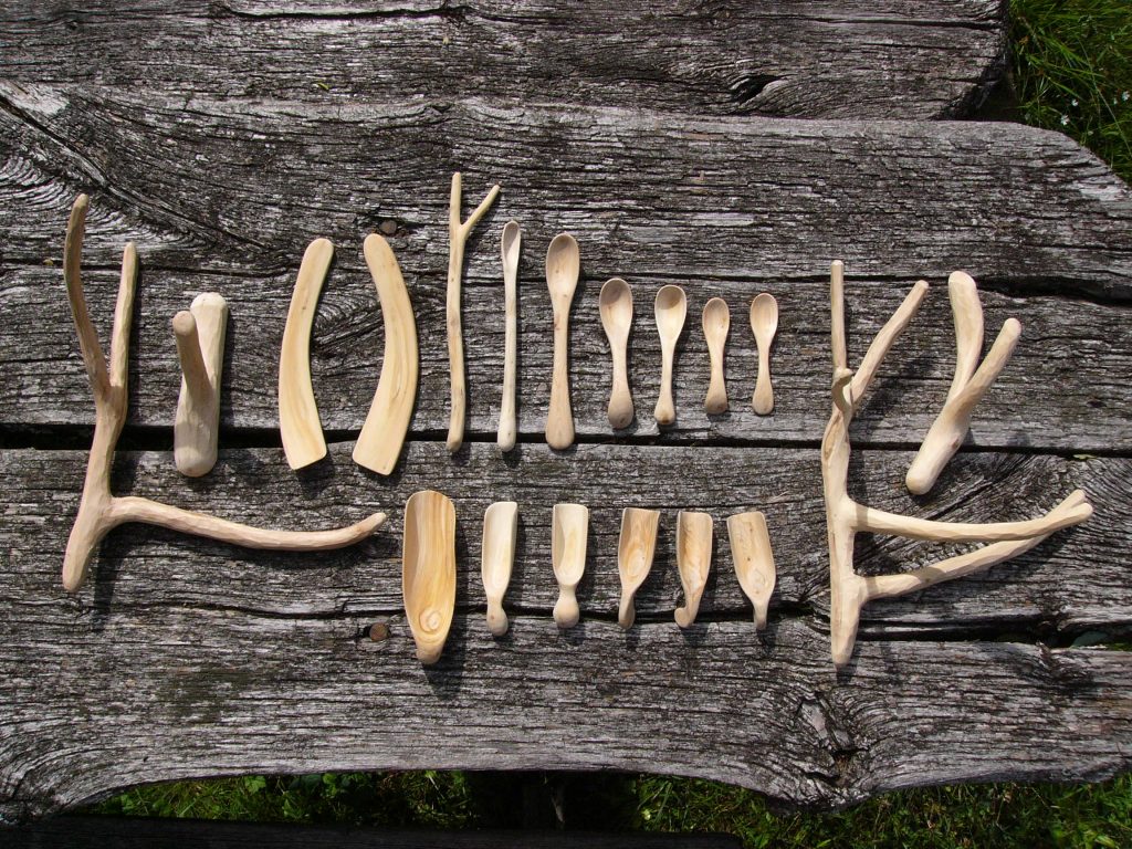 Kräuterwissen mit Monika Wurft: Wacholder