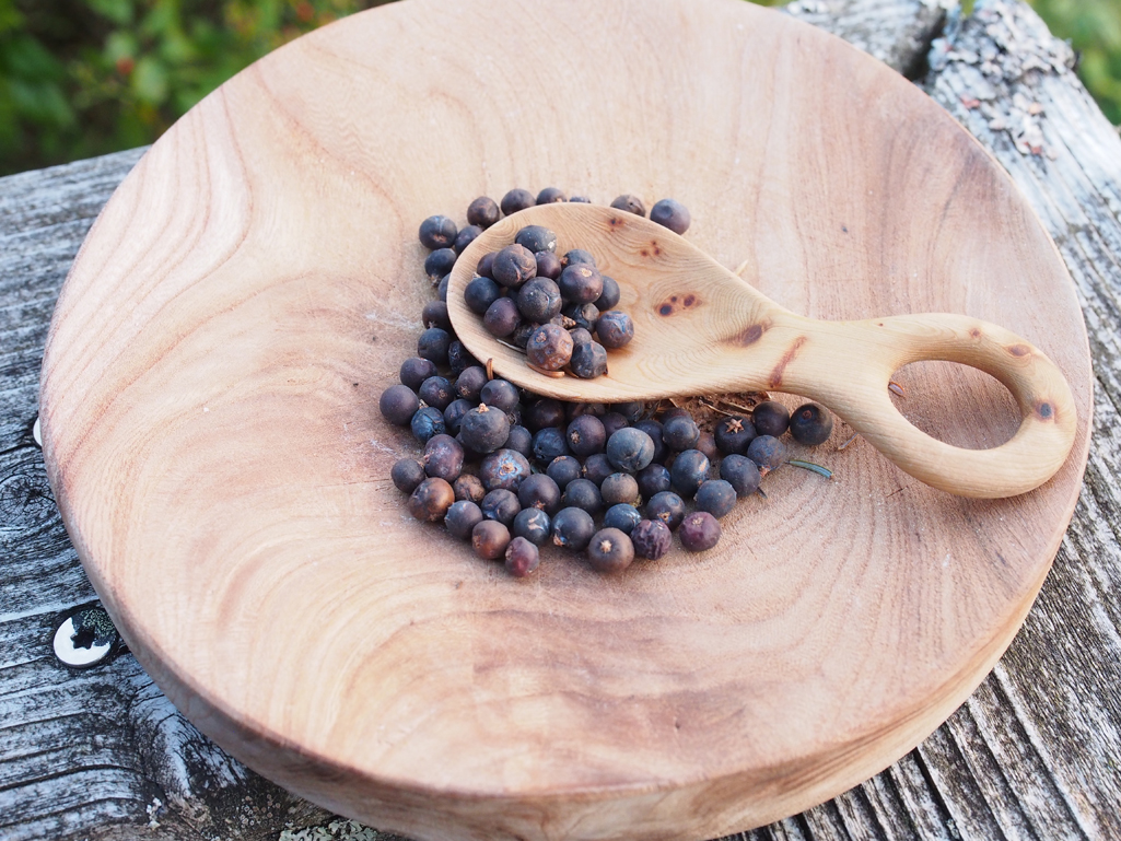 Kräuterwissen mit Monika Wurft: Wacholder