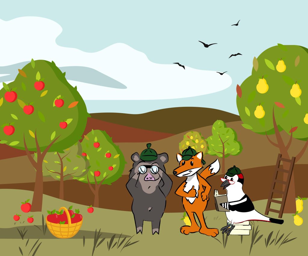 Naturpark-Aktionstag Bio-Obst im Info-Shop