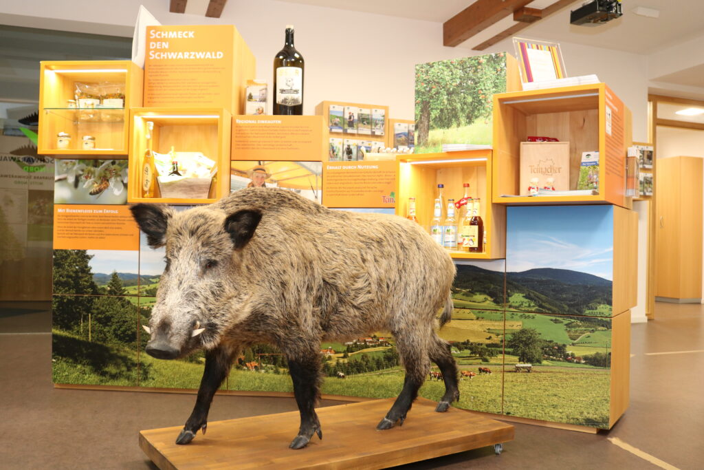 Naturpark-Aktionstag Wild und Wein