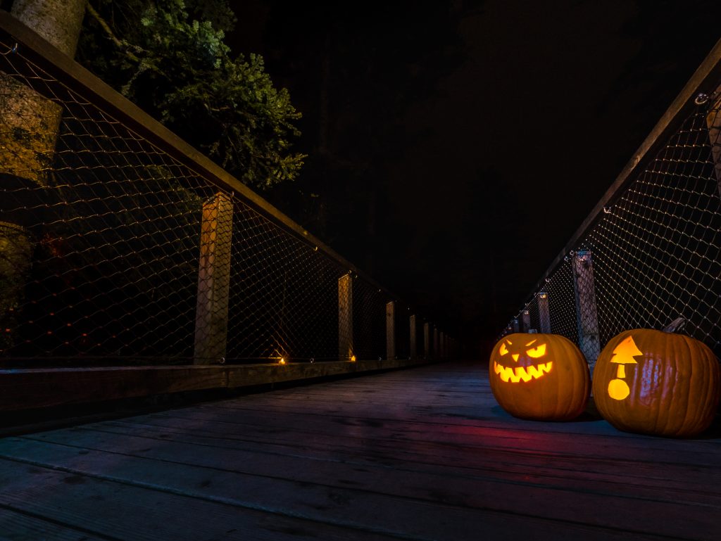 Halloween auf dem Baumwipfelpfad Schwarzwald