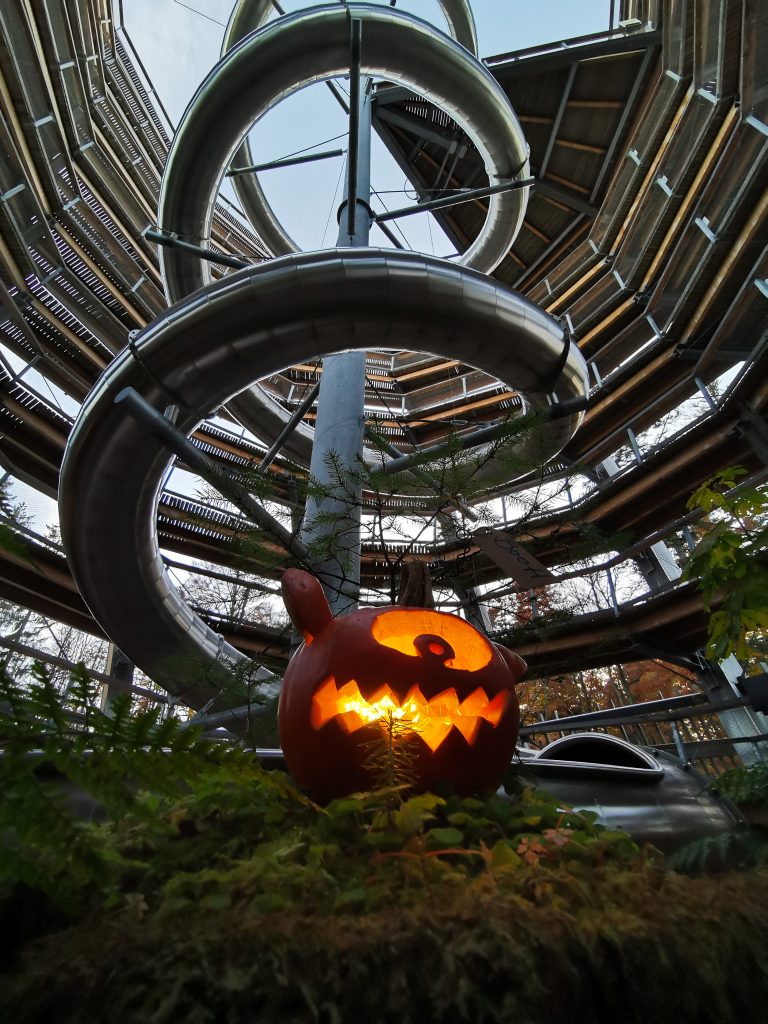 Halloween auf dem Baumwipfelpfad Schwarzwald