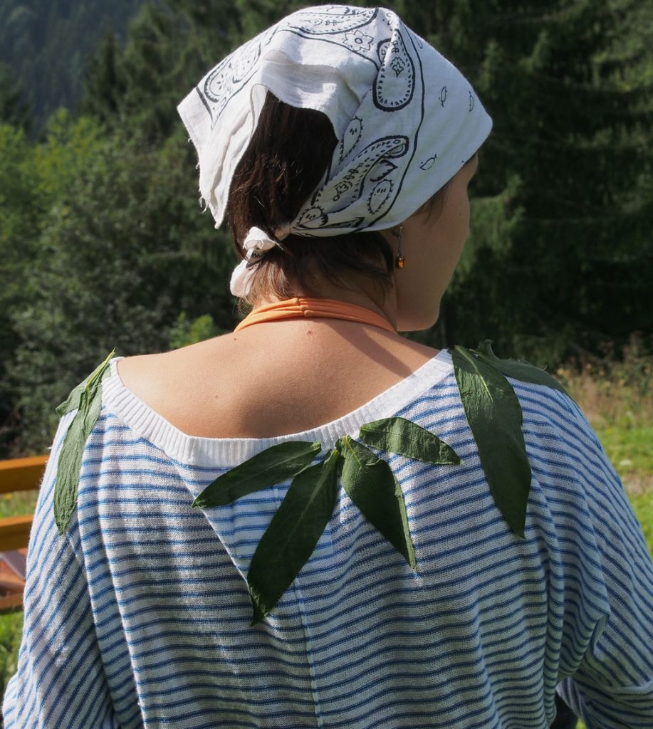 Kräuterwissen mit Schwarzwald-Guide Monika Wurft - Beinwell