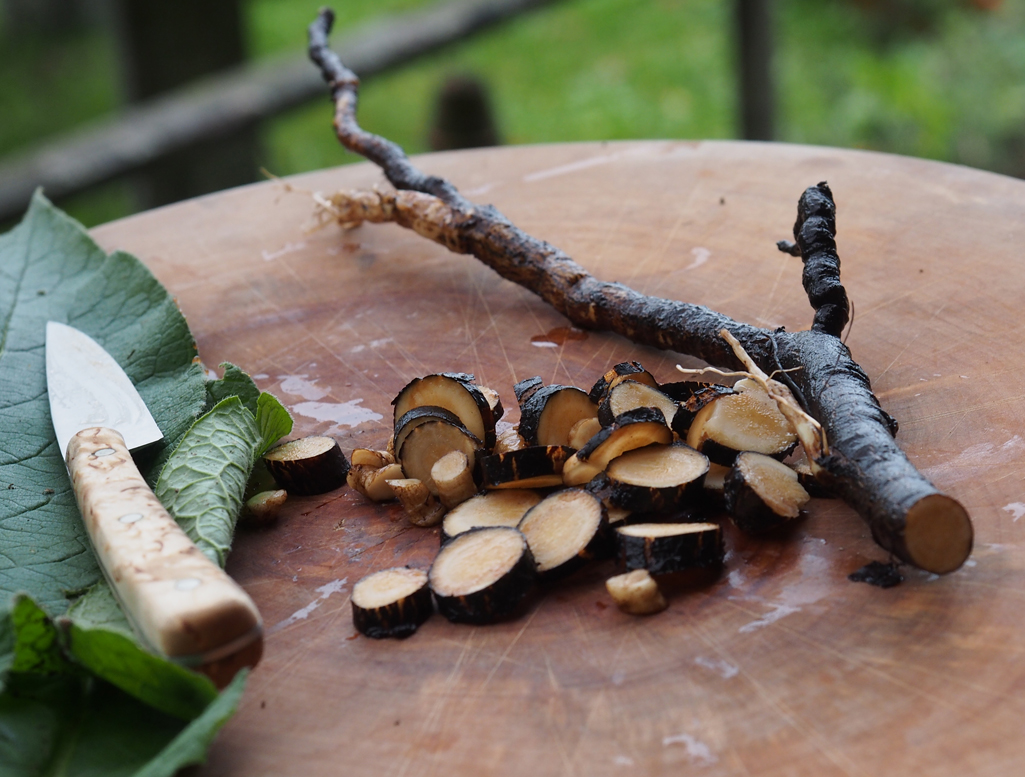 Kräuterwissen mit Schwarzwald-Guide Monika Wurft - Beinwell