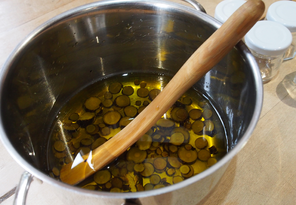 Kräuterwissen mit Schwarzwald-Guide Monika Wurft - Beinwell