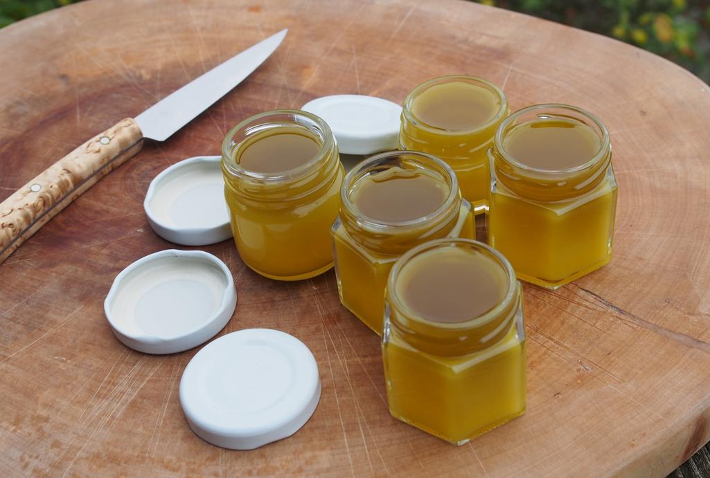 Kräuterwissen mit Schwarzwald-Guide Monika Wurft - Beinwell