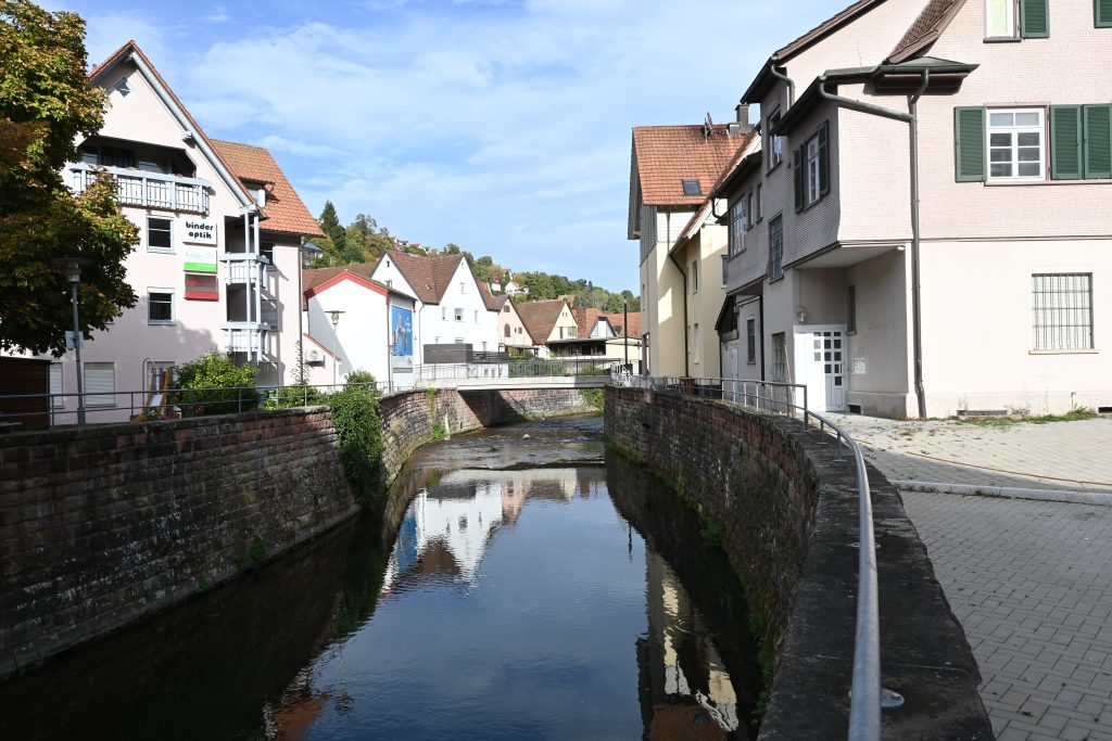 Klimabotschafter-Ausbildung 2023 - Sturzfluten und heimische Fische