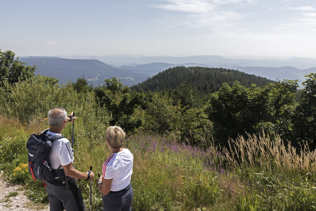 Alpirsbacher Tourentipp: Naturpark-AugenBlick-Runde Seebach