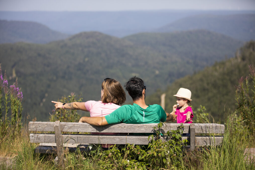 Alpirsbacher Tourentipp: Naturpark-AugenBlick-Runde Seebach