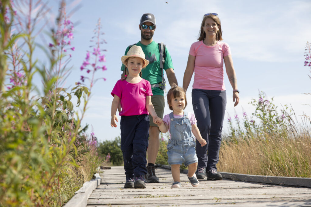 Alpirsbacher Tourentipp: Naturpark-AugenBlick-Runde Seebach