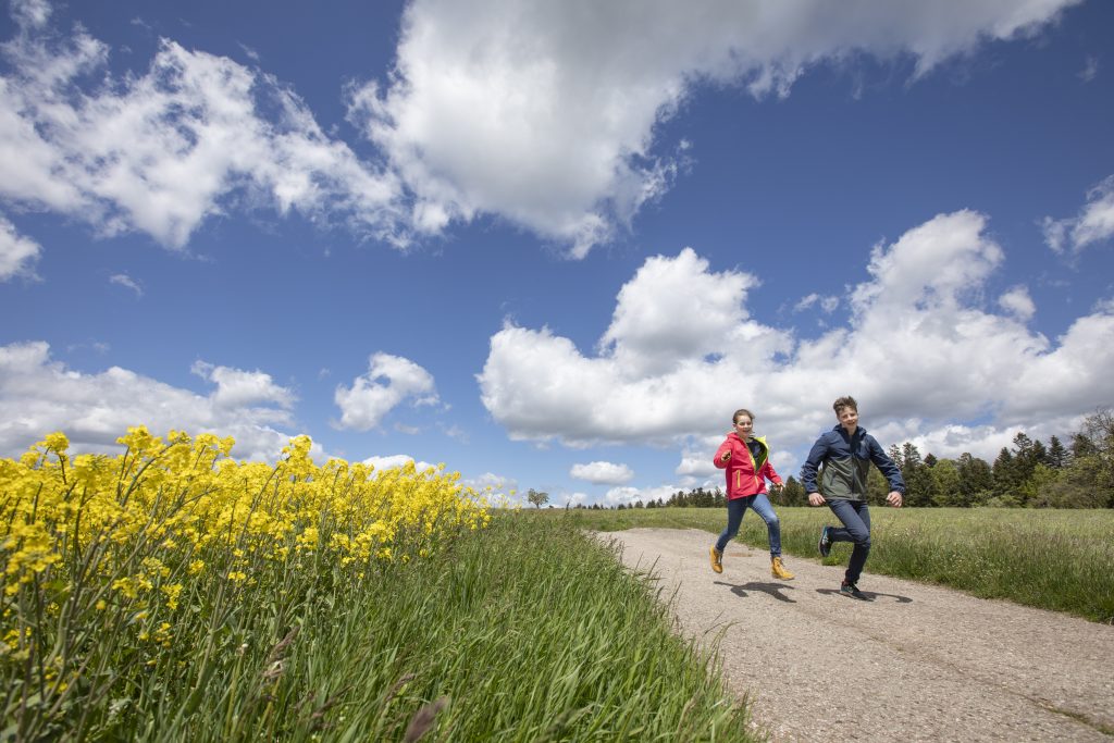 Alpirsbacher Tourentipp: Naturpark-Augenblick-Runde Neuweiler-Oberkollwangen
