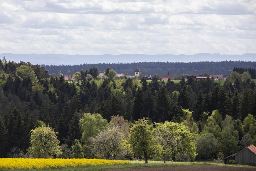 Alpirsbacher Tourentipp: Naturpark-Augenblick-Runde Neuweiler-Oberkollwangen