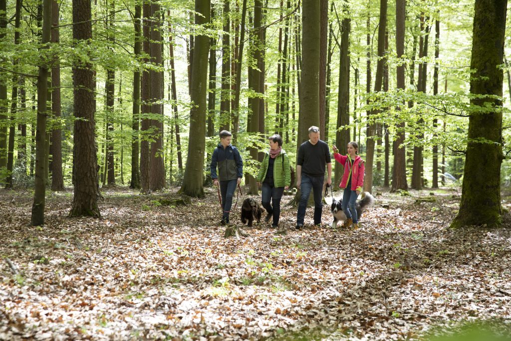 Alpirsbacher Tourentipp: Naturpark-Augenblick-Runde Neuweiler-Oberkollwangen