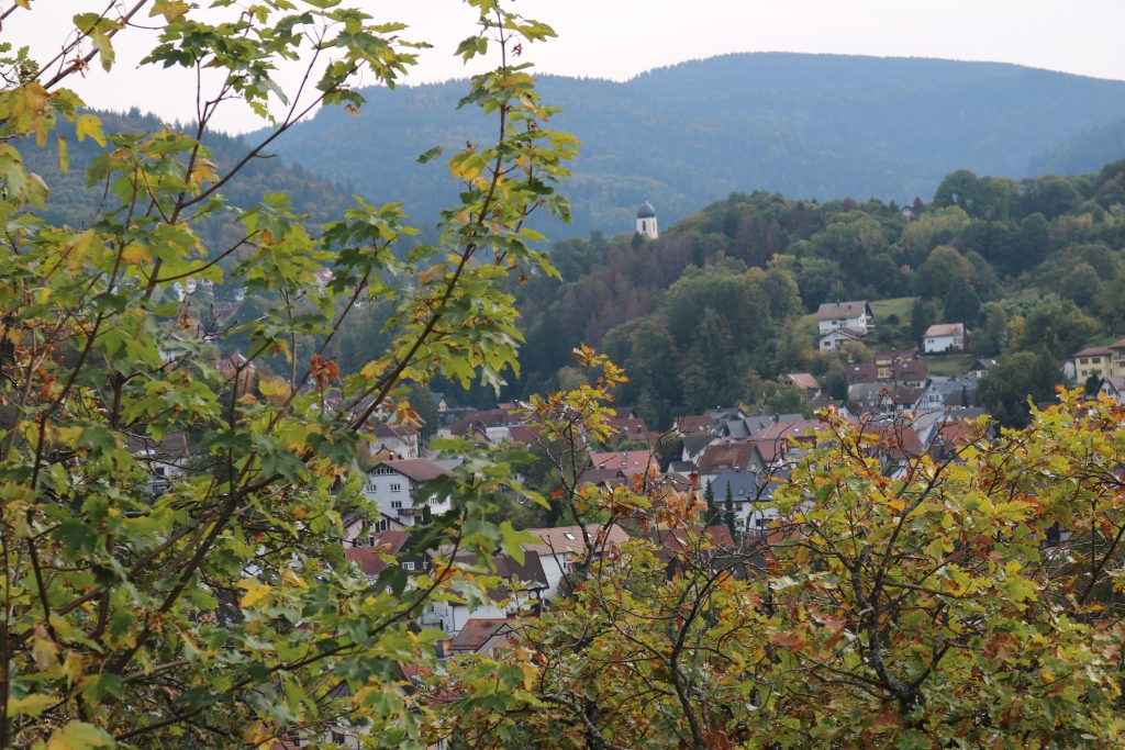 Ehrensache Natur Trockenmauern Bühlertal 2023