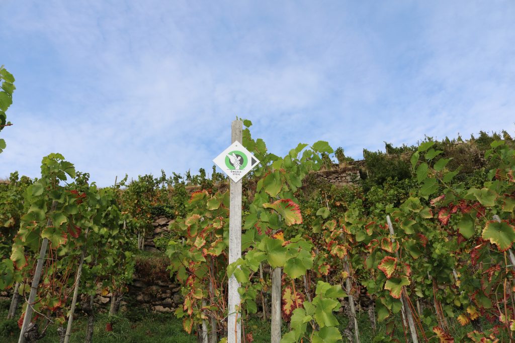 Ehrensache Natur Trockenmauern Bühlertal 2023