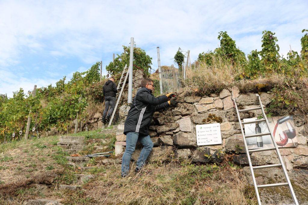 Ehrensache Natur Trockenmauern Bühlertal 2023