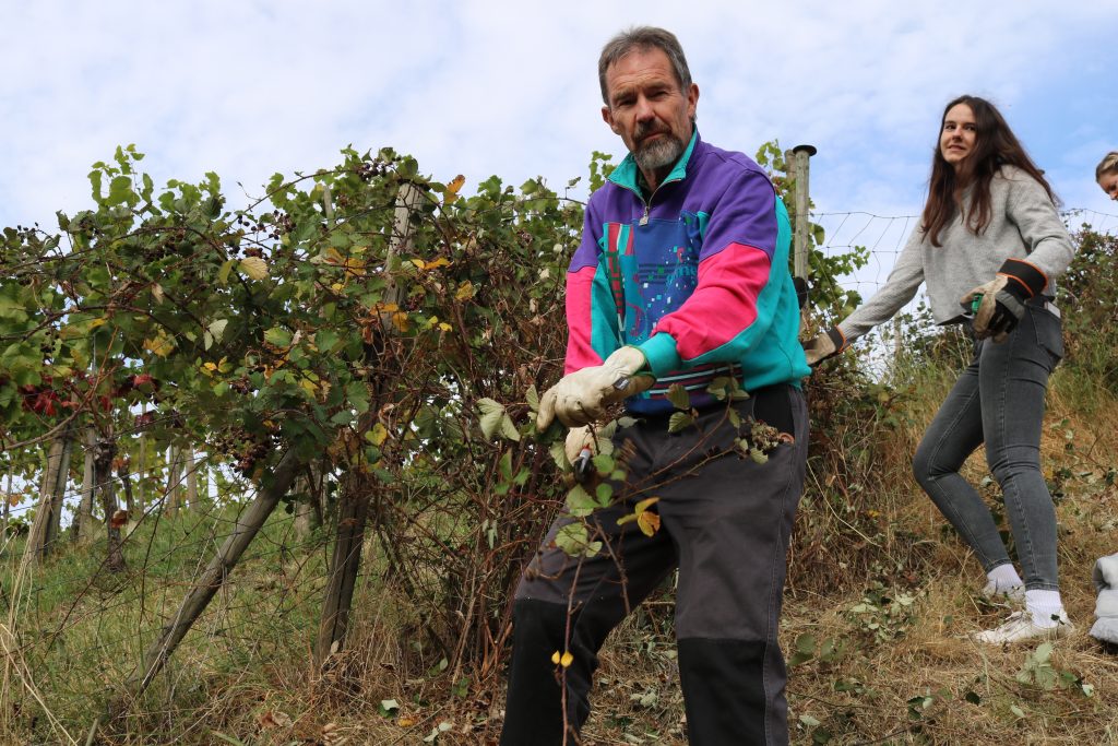 Ehrensache Natur Trockenmauern Bühlertal 2023
