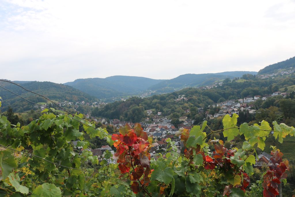 Ehrensache Natur Trockenmauern Bühlertal 2023