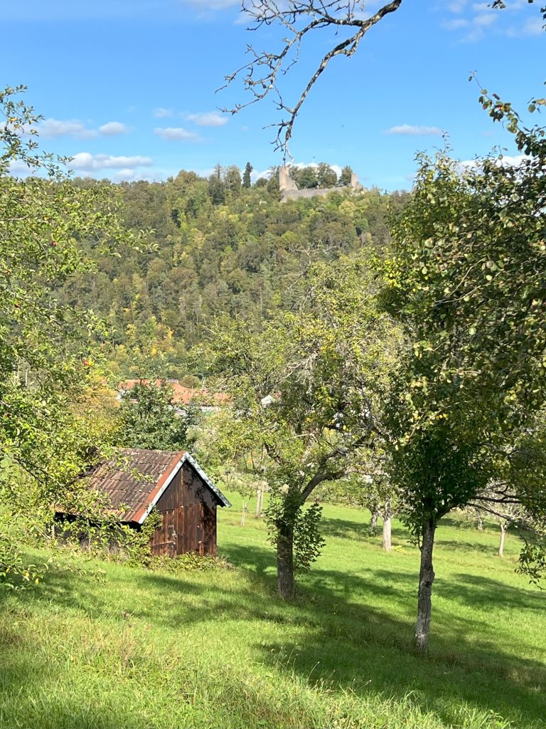 Mit Schwarzwald-Guide Thomas Bühler auf den Streuobstwiesen