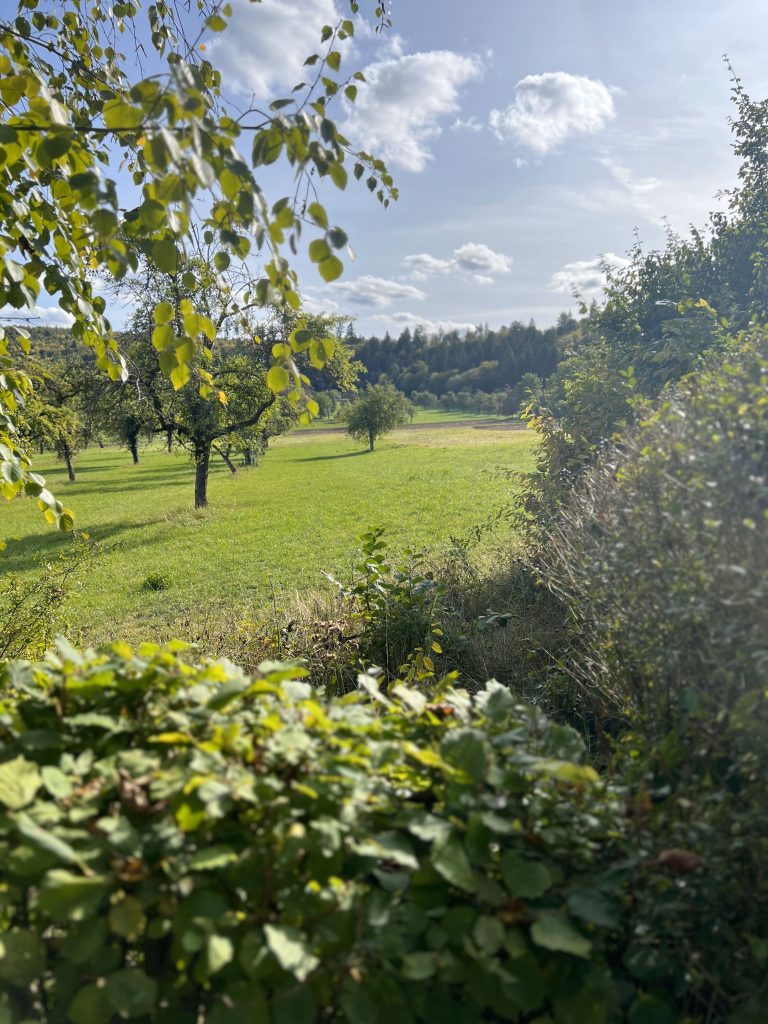 Mit Schwarzwald-Guide Thomas Bühler auf den Streuobstwiesen