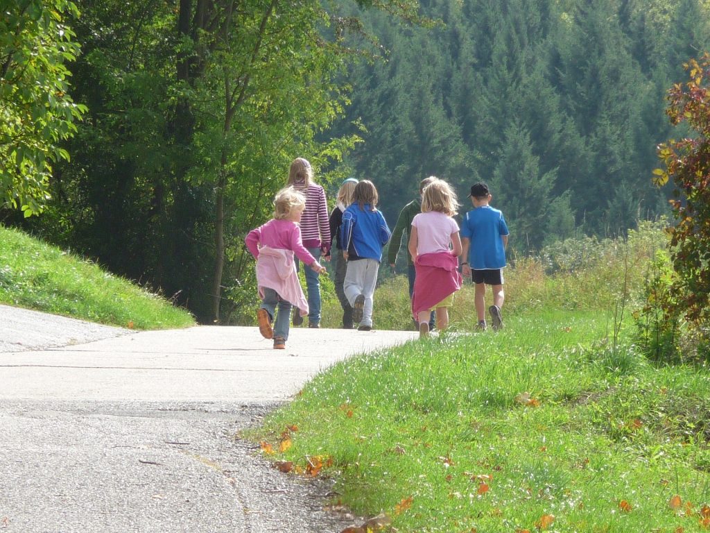 AOK-Gesundheitstipp - Spaß im Wald für Kinder
