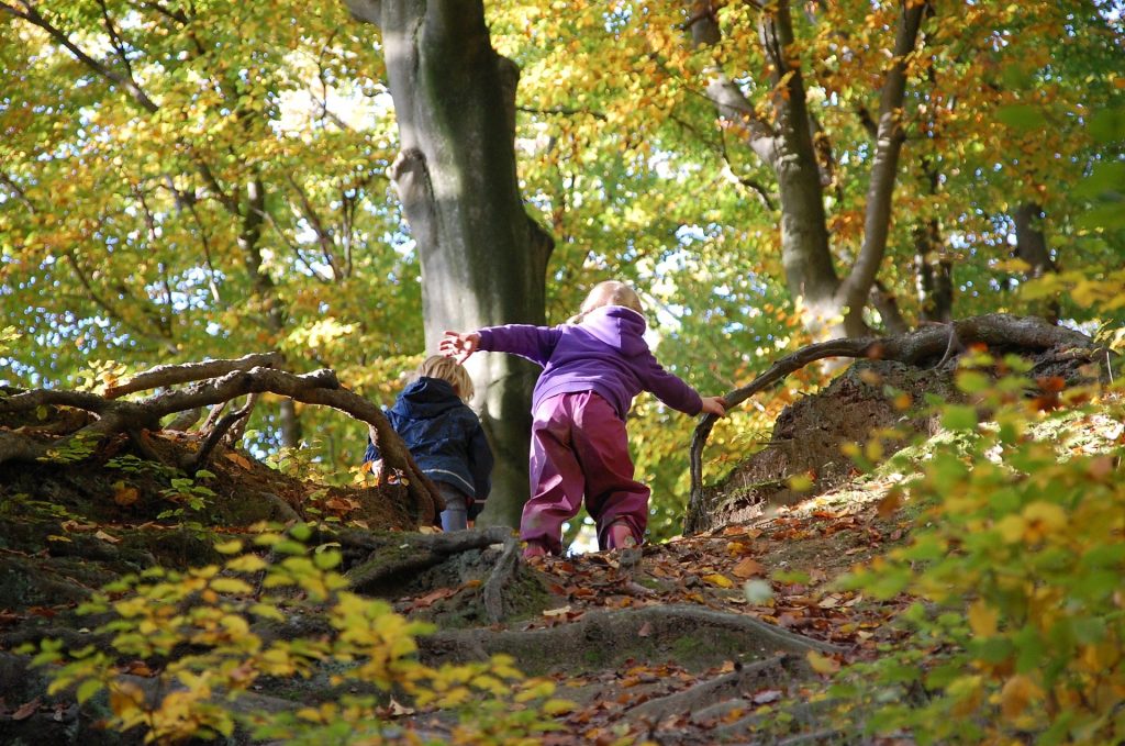 AOK-Gesundheitstipp - Spaß im Wald für Kinder