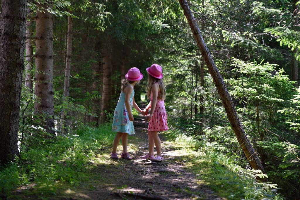 AOK-Gesundheitstipp - Spaß im Wald für Kinder