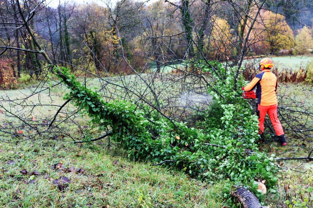 Ehrensache Natur Lahr-Sulz neue Streuobstwiese