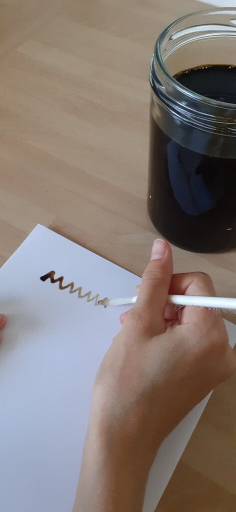 Naturpark-Detektive im Herbst 2023