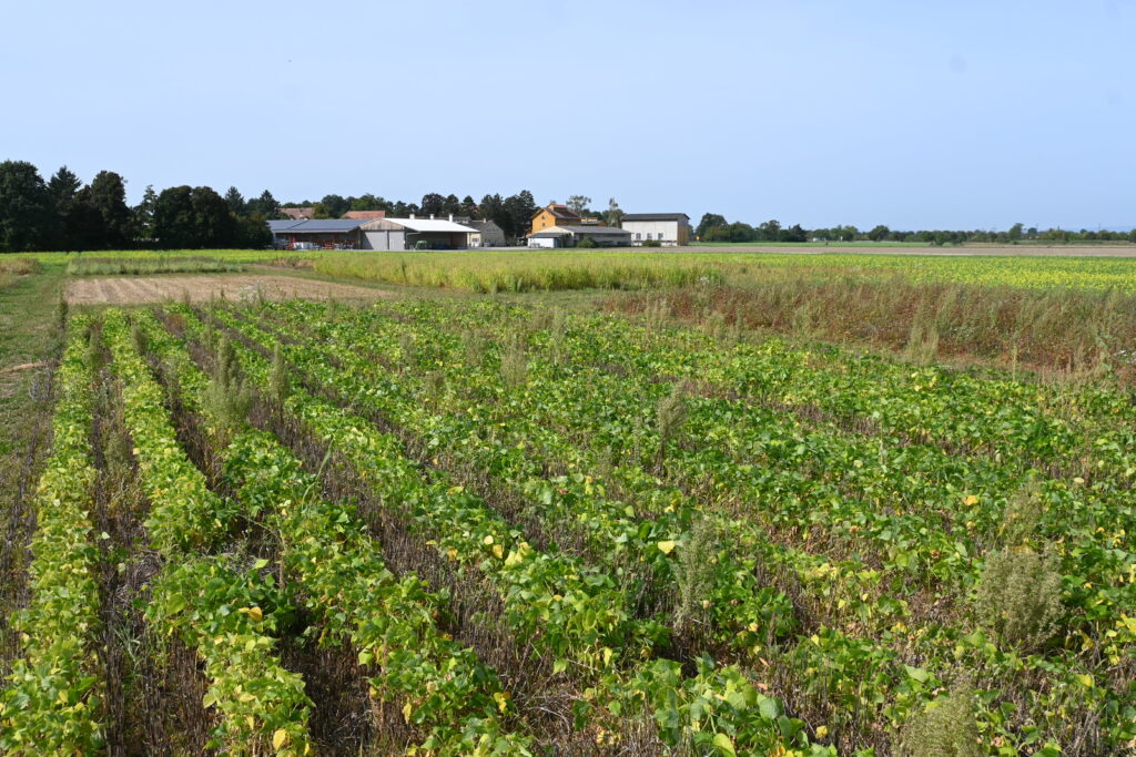 13 neue Klimabotschafter