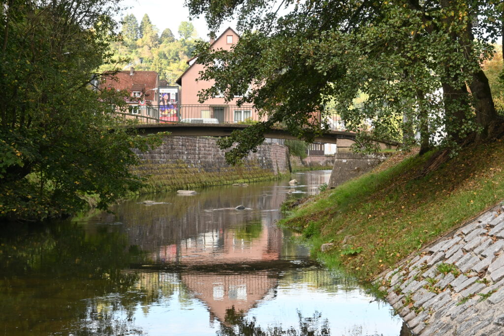 13 neue Klimabotschafter