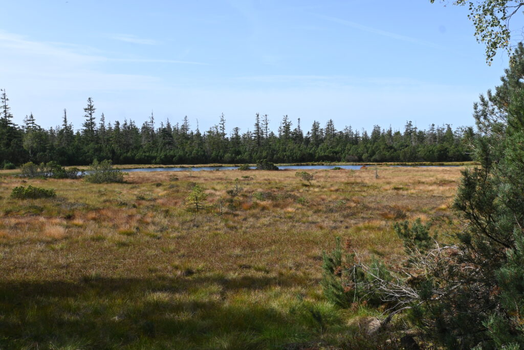 13 neue Klimabotschafter