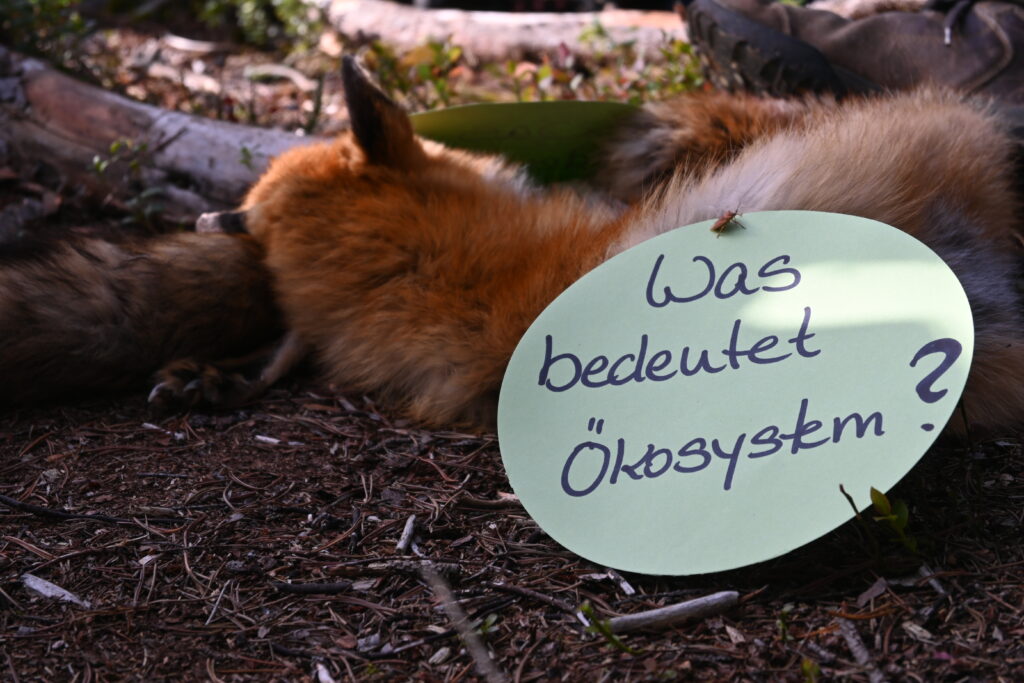 13 neue Klimabotschafter