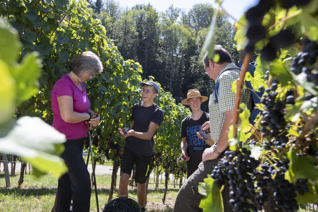 Naturpark-AugenBlick-Runde Obersasbach